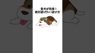 愛犬が危険！絶対避けたい遊び方　#犬 #ペット #雑学