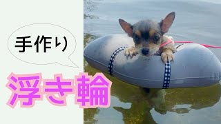 【DIY】100均グッズで犬用浮き輪を作ってみた！保護犬チワワの海水浴初体験☆老犬でも安心して海を楽しめます。Chihuahua floating in the ocean