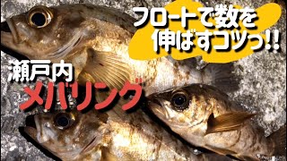 瀬戸内海メバリング！通いこんだポイントで数釣りのコツを解説！！