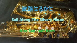 #45 【波路はるかに 「Sail Along The Silvery Moon」／ビリー・ヴォーン楽団】アルトサックス2本で吹きました。