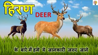 हिरण के बारे में ये रोचक जानकारी जरूर जाने । Information about Deer 🦌 | deer story in hindi