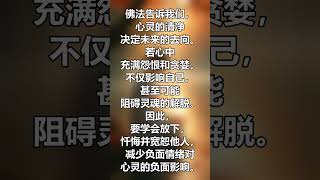 心灵清净决定未来：佛法教你如何放下怨恨与贪婪 #白话佛法 #正能量