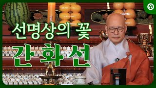 [조계사] 선명상의 꽃 간화선