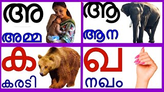 Malayalam alphabets and consonants| മലയാളം സ്വരാക്ഷരങ്ങളും വ്യഞ്ജനാക്ഷരങ്ങളും തുടങ്ങുന്ന വാക്കുകൾ|