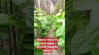 আমাদের বর সবাই সাবস্ক্রাইব করবেন