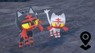 ✨ LITTEN SHINY - UBICACIÓN PERFECTA ✨ Farmeo Sin Movernos (DLC 2)