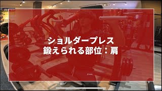 【初心者向け】ショルダープレス(肩)【マシン使い方】