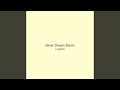 Silver Dream Storm
