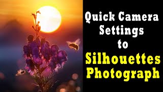 Quick Camera settings to Photograph Silhouettes | How to Shoot Silhouettes Photos