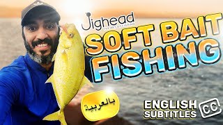 الصيد بالسوفت بيت - الانواع و طرق الاستخدام(Soft Bait Fishing)