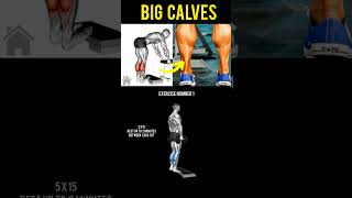 GET BIGGER CALVES AT HOME #viral #workout #athome #get #bigger #calves #fitness #calf #grow #get