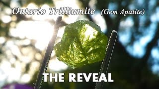 Ontario Trilliumite, Gem Apatite - The Reveal