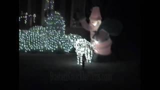 Reindeer Humping - CAUGHT ON CAMERA!