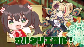 【チョコットランド】　オルタリエ強化　ＮＯＲＭＡＬ　HARD周回