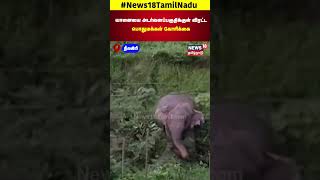 Nilgiris | யானையை அடர்வனப்பகுதிக்குள் விரட்ட பொதுமக்கள் கோரிக்கை | Elephant Video | N18S