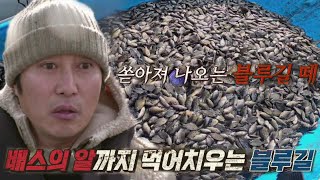 [선공개] 김병만, 배스보다 강력한 블루길 위력에 깜놀!ㅣ공생의 법칙(symbiosis) ㅣSBS ENTER.