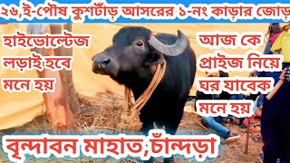 ২৬,ই-পৌষ কুশটাঁড় আসরের ১-নং কাড়ার জোড়,বৃন্দাবন মাহাত,চাঁন্দড়া🔥আজকে প্রাইজ নিয়ে ঘর যাবেক মনেহয়