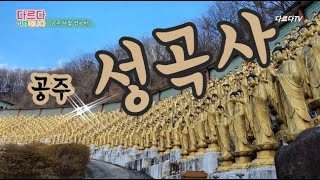 공주 가볼만한곳 성곡사, 뜻밖의 경험에 놀람