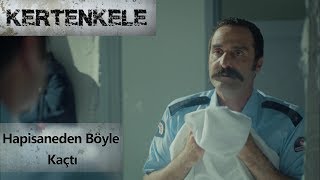 Hapisaneden böyle kaçtı - Kertenkele