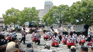 福井大学よっしゃこい「2011 響宴」 犬山踊芸祭 駅前からくり広場会場