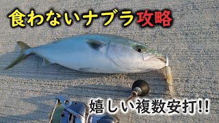 【ショアジギング】食わないナブラ攻略で嬉しい複数安打!!