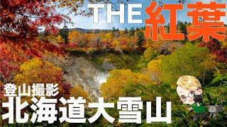 【紅葉撮影】北海道大雪山高原温泉沼巡り登山！？まさかの展開だったが、その先には、、、