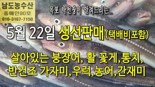 5월 22일(판매 생선), 살아있는 붕장어, 활꽃게, 암꽃게, 숫꽃게, 통치, 우럭, 농어, 간재미, 반건조 가자미... 맛있게(목포 남도농수산 탁선장 010 3167 7150)