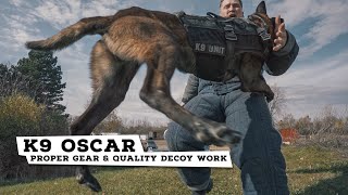 K9 Oscar - Proper Gear and Quality Decoy Work