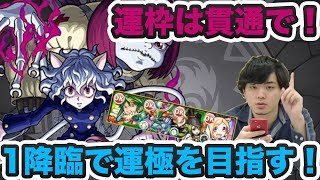 【モンスト】1降臨で運極目指すならパンドラ！？ネフェルピトーを運2(3)で周回！【よーくろGames】