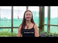 Te Arai Native Nursery