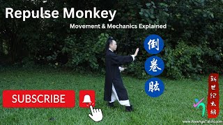 倒卷肱动作讲解 Tai Chi Repulse Monkey movement explained