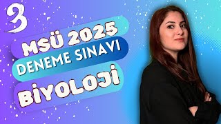 MSÜ 2025 - BİYOLOJİ DENEME SINAVI #3