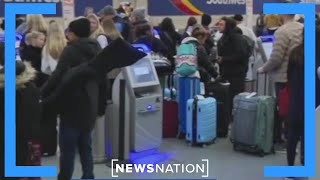 Travel expert: Booking early can help you avoid problems | NewsNation Live