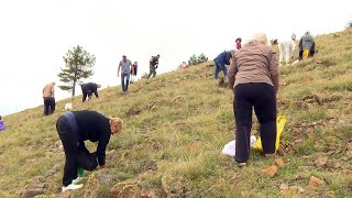 Održana manifestacija „Branje trave ive na Ozrenu“