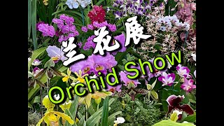 【20206】七月兰花展，St. Ives Shopping Village Orchids Show  //静姐说花391