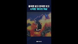 중국엔 없고 한국엔 있고…시작된 '바다의 역습' #shorts