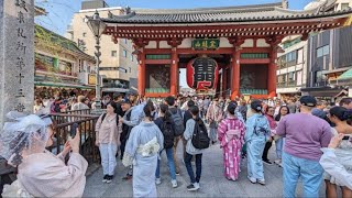 【高画質FHDお散歩ライブカメラ】浅草　散歩　Asakusa walking【live camera】