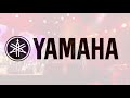 Mr. TalkBox @ Yamaha Concert NAMM 2020 (Smooth Jazz Family)