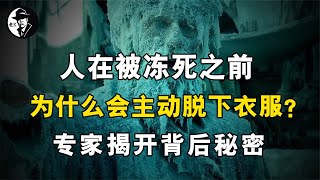 人在被冻死之前，为什么会主动脱下衣服？专家揭开背后秘密【老K探长】