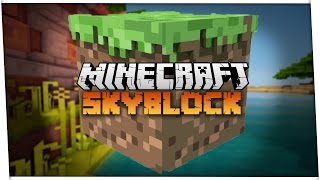 Skyblock Fail - WHY AIDAN WHY?