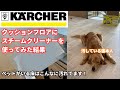 ケルヒャー SC3 クッションフロアにスチームクリーナーを使ってみた結果