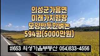 #653 의성가음부동산 시세반값!! 5m도로접 들판 경지정리된 벼논 594평 5000만 (당8.4만) 큰차진입가능 전기가능 반듯한 위치좋은 다용도땅 투자가치^ #의성벼논#의성부동산