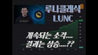 LUNC 루나클래식소각 바이낸스소각 루나클래식상승??