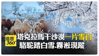 沙漠下雪天有異象?! 駱駝雪地走路 霧淞現沙漠 【國際360】20241215@全球大視野Global_Vision