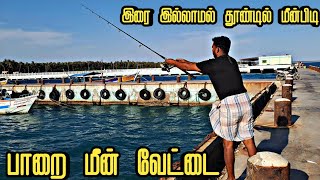 தூண்டில் அதிக பாறை மீன் வேட்டை | Fishing more Paarai fish bait