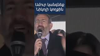 ԴԵ ամուր կանգնեք Նիկոլի կողքին