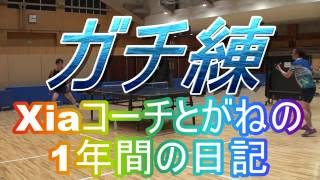 【ガネ修行7月下旬②】Xiaコーチとがねの1年間の日記【卓球知恵袋】