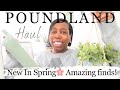 *NEW IN* POUNDLAND| APRIL 2024| SPRING| MORE AMAZING FINDS| #poundland