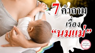 แม่ลูกอ่อน : 7 คำถามเรื่อง \