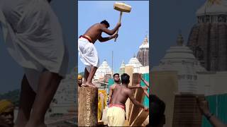 পুরীর নবনির্মিত রথের কাঠের কি করা হয় #puri #shorts #jagannath #viralshort #purijagannadh #trending